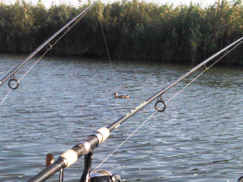 Rosu - Septembrie  2015 - img20150926163519.jpg